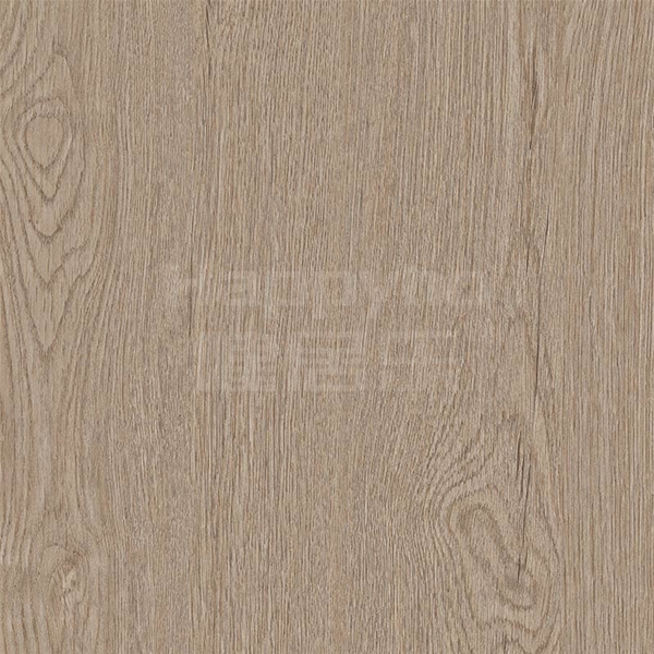 奧比昂